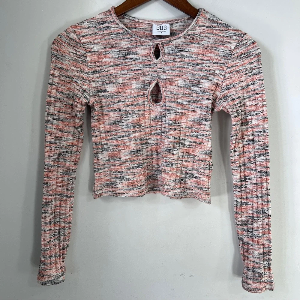 BDG Urban Outfitters Multicolor Long Sleeve Crop Top